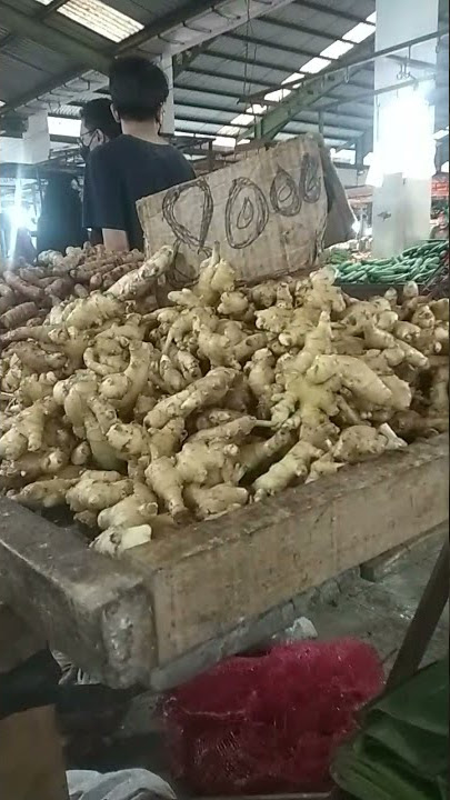 hanya 8000 harga jahe di pasar