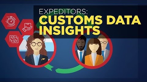 Customs Data Insights