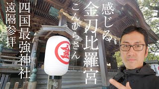 【遠隔参拝こんぴらさん】神社本庁を離脱した「金刀比羅宮」四国最強パワースポットを詳細エネルギー解説【摂社だけどエネルギーが凄い神社・奥社まで1368段・誰も知らない神社】Konpira Shine