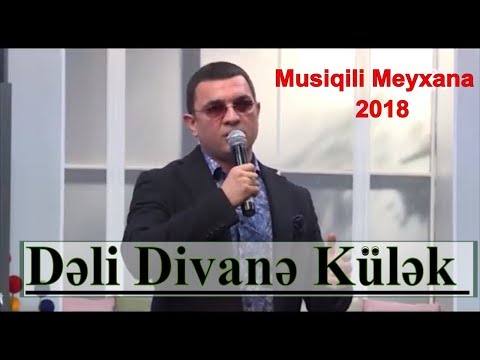 Mehman Əhmədli - Dəli Divanə Külək (musiqili Meyxana)