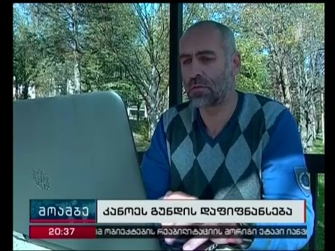 რა პრეტენზიები აქვს კანოესა და ჯომარდობის   ფედერაციების  პრეზიდენტს თბილისის მერიასთან