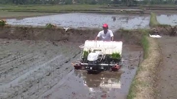 RICE TRANSPLANTER (MESIN TANAM PADI) AP4 - YANMAR