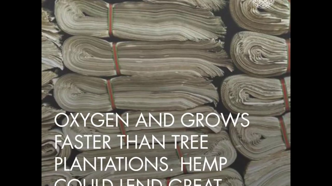 Oh, the power of Hemp!