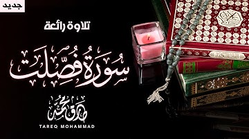 سورة فصلت (كاملة) || تلاوة رائعة للقارئ طارق محمد