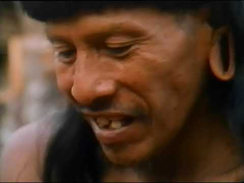 NOVA: Nomads of the Rain Forest still