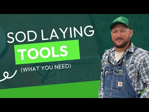 What tools to I need before laying new sod