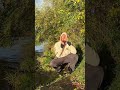 The jaw harp sunset vibe #folkinstrument #jawharp #jewsharp