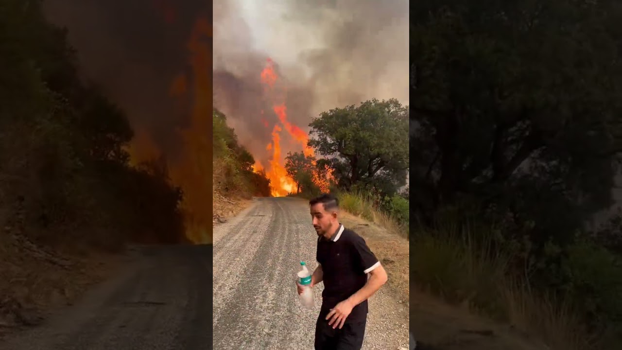 حرائق الجزائر جيجل