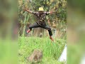 AK MAN Ft MASANYANGA SONG BHULENGI 0757192448 By Dj Maico AK MAN Ft MASANYANGA SONG BHULENGI 0757192448 By Dj Maico