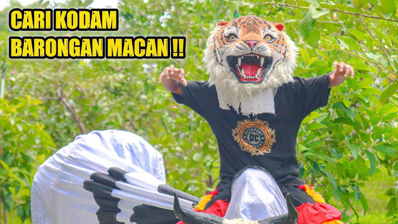 CARI KODAM BARONGAN MACAN 😲‼️