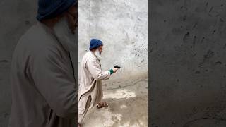 Glock P80 Inertia Load Challenge | Test Fire Successful | World Level Proof