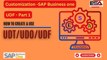 4. UDF Part 1- User Defined Fields in SAP Business One
