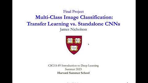 Multi-Class Image Classification: Transfer Learning vs. Standalone CNNs
