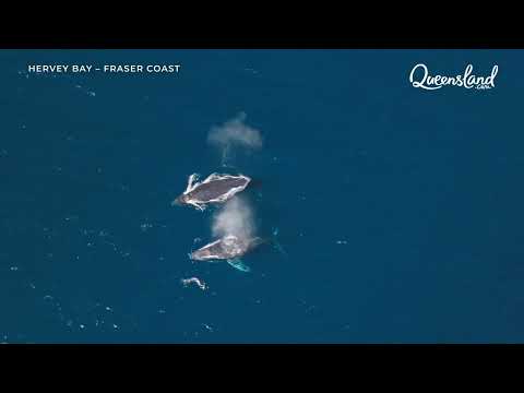 The Pacific Coast Way is Australia’s Holiday Highway - your road to nature‑packed adventure
