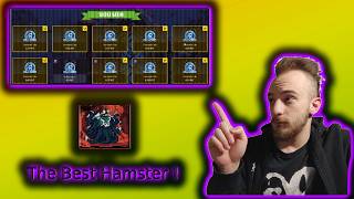 New Hamster On Rollercoin! is it woth it ?