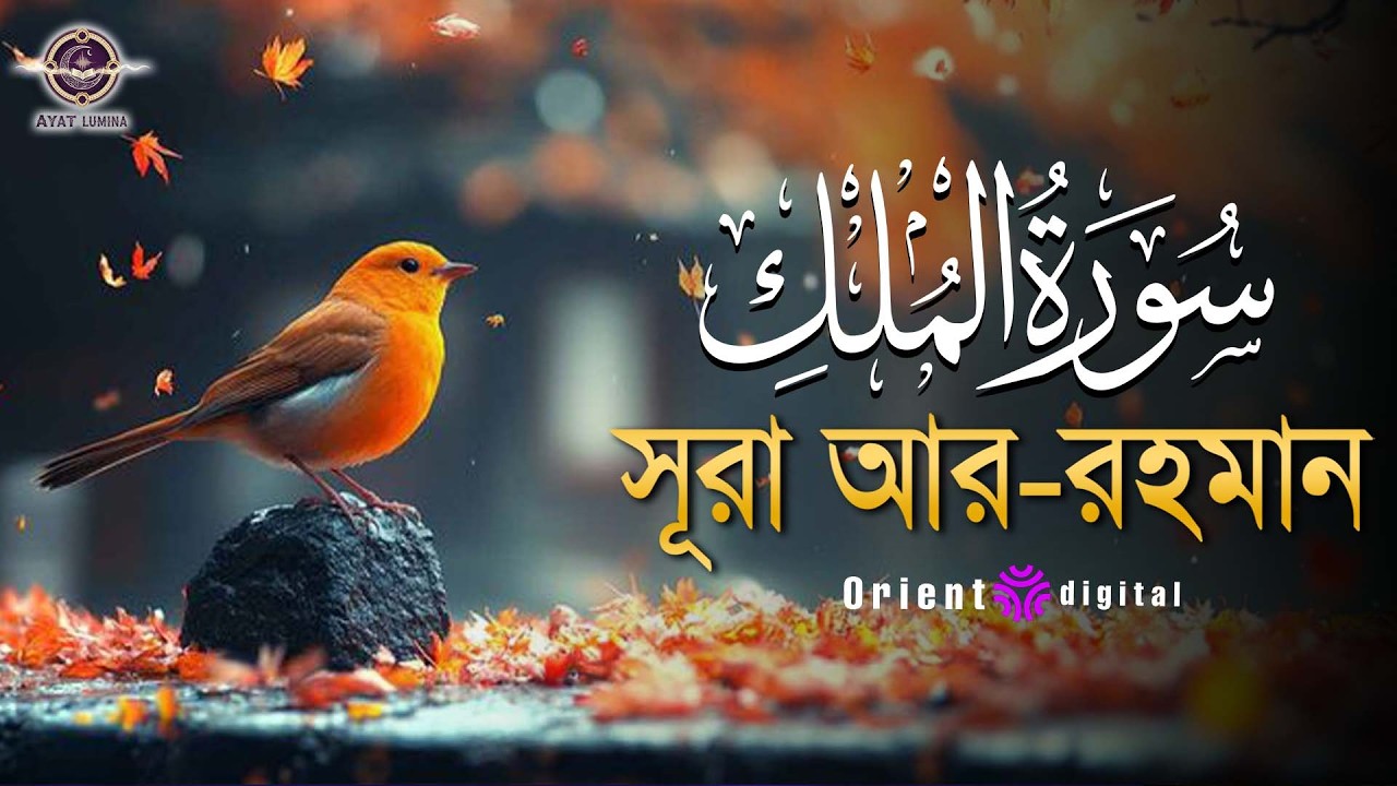 প্রশান্তিময় ঘুমের জন্য শুনুন সূরা মূলক (سورة الملك) |   Surah Al-Mulk | Muhammad Ahmed Hassan