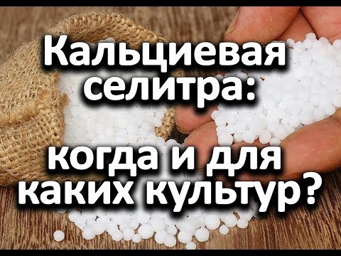 Кальциевая селитра: когда и для каких культур?