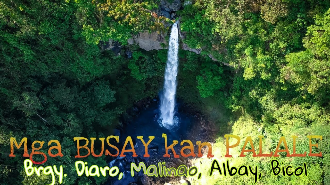 An mga Busay kan Palale sa Brgy. Diaro, Malinao, Albay
