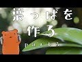【Blender2.8】葉っぱを作る#3/テクスチャの貼り付け+α【クー助と始める3DCG】