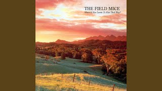 Miniatura de vídeo de "The Field Mice - When You Sleep"