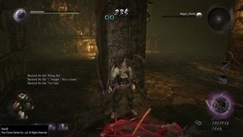Nioh - My first PvP battle