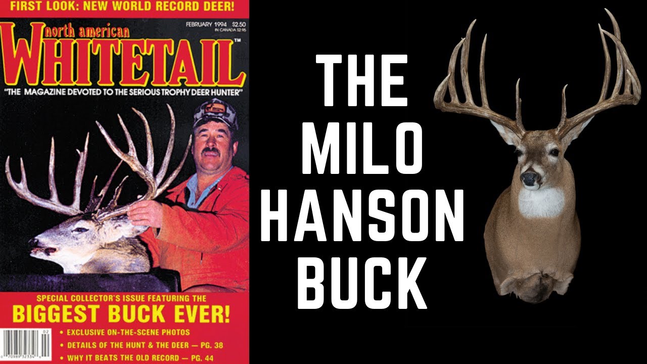 World Record Whitetail: The Top 5 Typical Archery Bucks