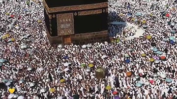 آيات الحج بصوت الشيخ خالد الجليل 💛