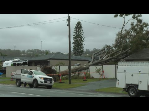 0:54 0:54 Now playing, Trees crush house, block roads as ex-Cyclone Alfred hits eastern Australia 0:54 0:54 Now playing, Trees crush house, block roads as ex-Cyclone Alfred hits eastern Australia