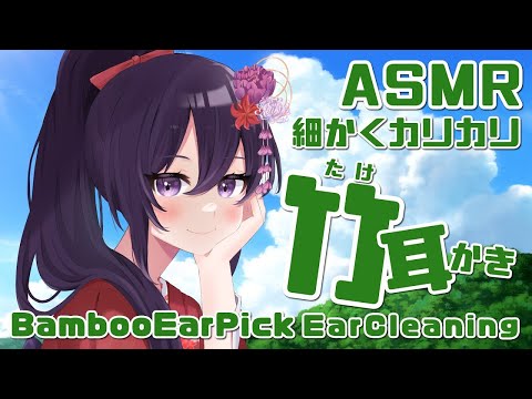 【ASMR/睡眠導入】細かくカリカリ竹耳かき/BambooEarPickEarCleaninig#55【村瀬巴/Binaural】