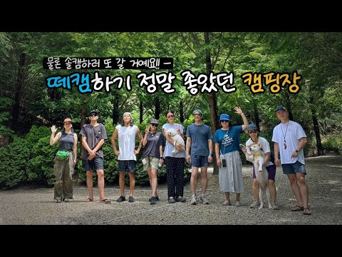 캠핑장이 다 했네 / 재방문 의사⭐⭐⭐⭐⭐ / 떼캠하고 왔어요!! / 반려견 동반 캠핑장 / 서울 근교 캠핑장