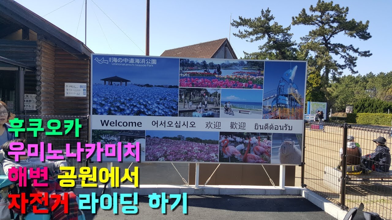 우미노나카미치 자전거