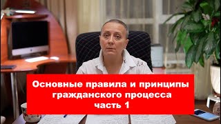 Основные правила и принципы гражданского процесса | #ЕГЭ обществознание