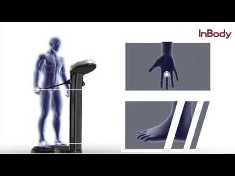 InBody - BIA