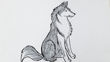 How to Draw a Wolf Easy Step by Step | Wolf Drawing Tutorial for Beginners