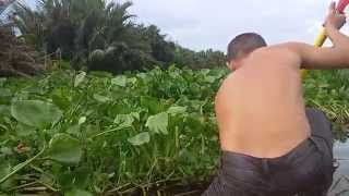 Man Cuts Swath Through Water Plants for Kayak Part 2