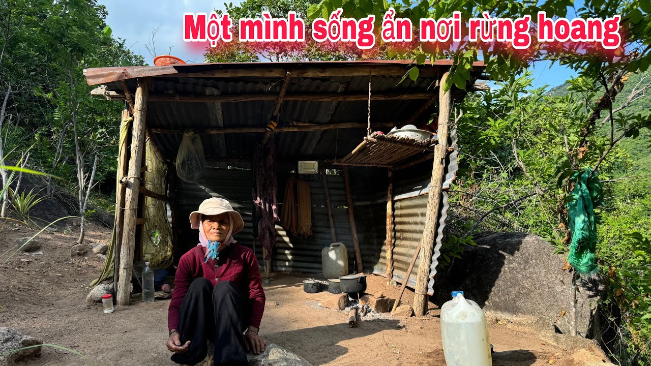 Sống trong RỪNG HOANG một mình ở trong căn nhà TẢ TƠI || 91