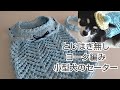 【犬服】100均コットンデニムで「とじはぎ無し」犬用ヨーク編みセーター編んでみました