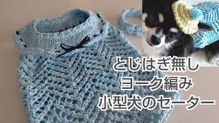 【犬服】100均コットンデニムで「とじはぎ無し」犬用ヨーク編みセーター編んでみました