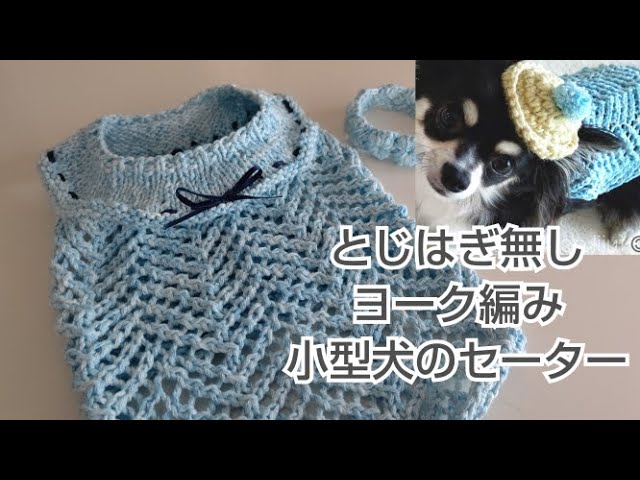 犬服 100均コットンデニムで とじはぎ無し 犬用ヨーク編みセーター編んでみました Youtube