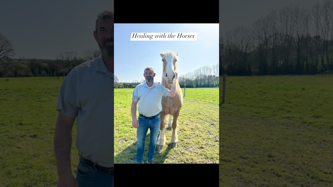 Healing with the Horses 