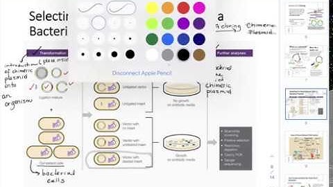 CHEM205 CH13: Nucleic Acid Biotechnology Techniques Part3