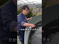 噛まれても痛くない魚のサムネイル