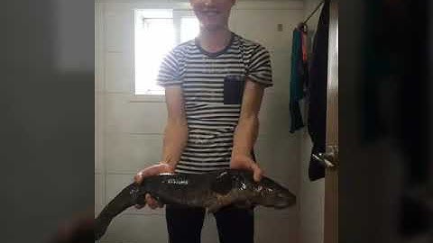 CÂU CÁ LÓC KHỦNG Ở HÀN QUỐC