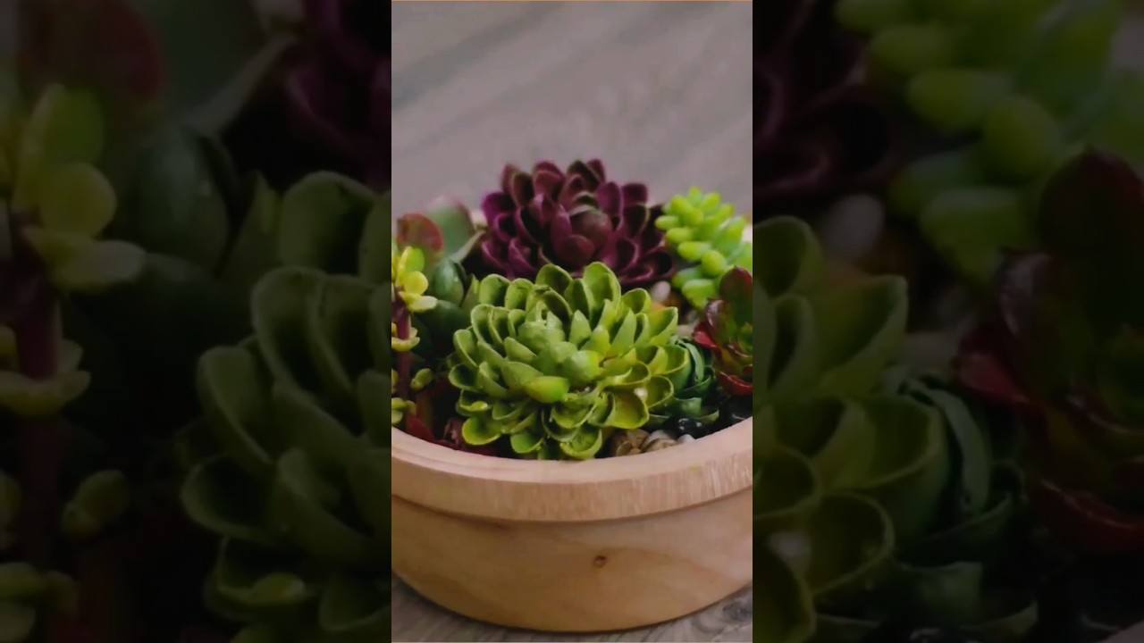 DIY craft ideas | Home decor from Pistachio shells 