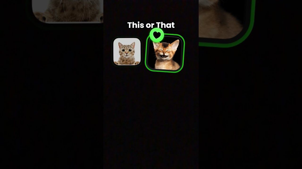 best effect and sound for cat