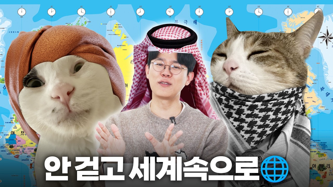 한국이 이건 확실히 낫지🇰🇷 전세계 고양이 탐험