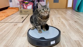 猫の目の前で初めてルンバを起動させるとこうなりますw