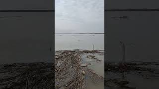Наводнение в Петропавловске (Северный Казахстан). 13.04.2024