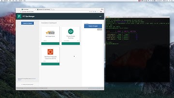 DataStax and Pivotal Integration [Unmanaged Service Broker]