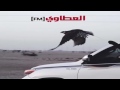 شيله ماعطينا نجومي